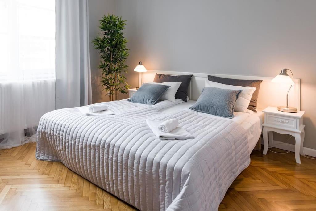 קרקוב Florianska Deluxe Apartments With Air Condition מראה חיצוני תמונה