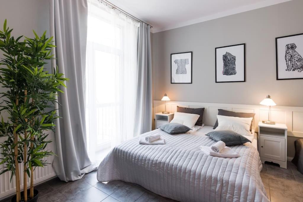 קרקוב Florianska Deluxe Apartments With Air Condition מראה חיצוני תמונה
